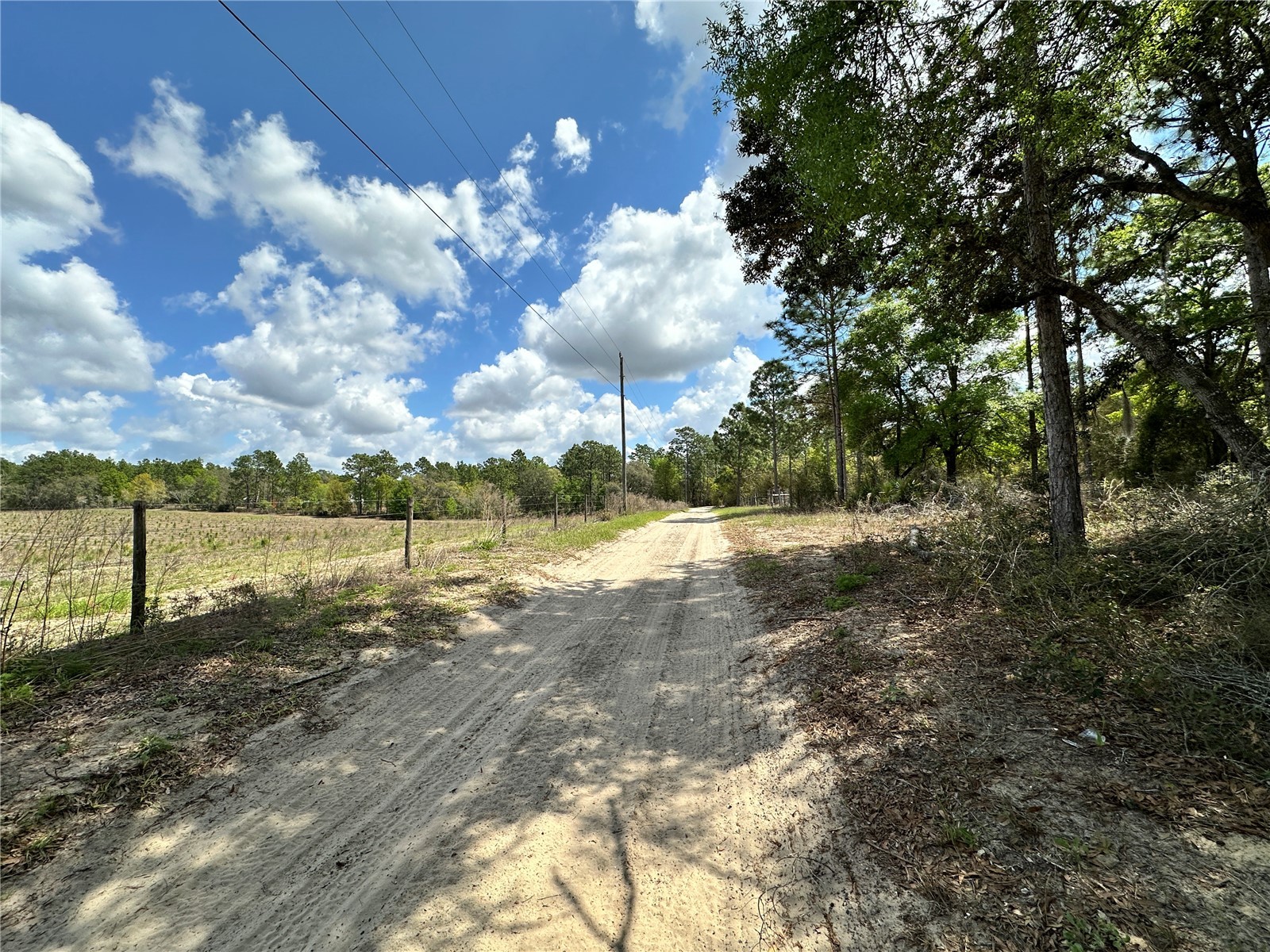  Bronson FL 32621 OM718827 image7