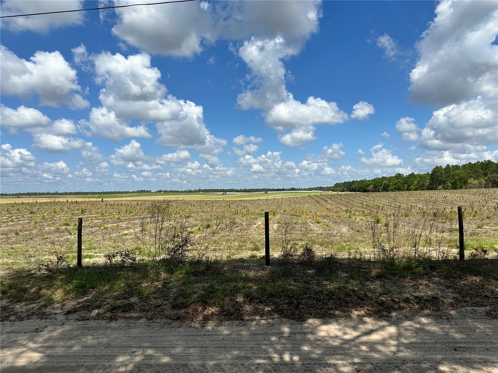  Bronson FL 32621 OM718827 image8