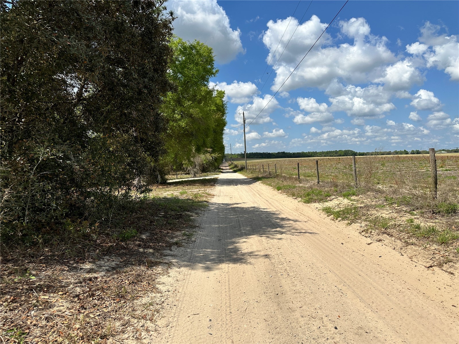  Bronson FL 32621 OM718827 image9
