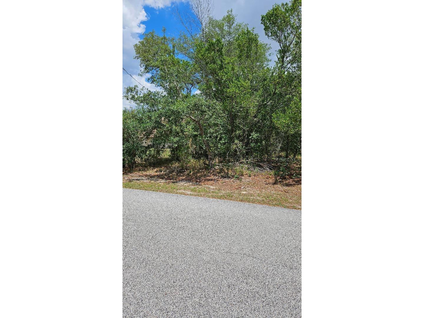  Brooksville FL 34610 TB8512229 image1