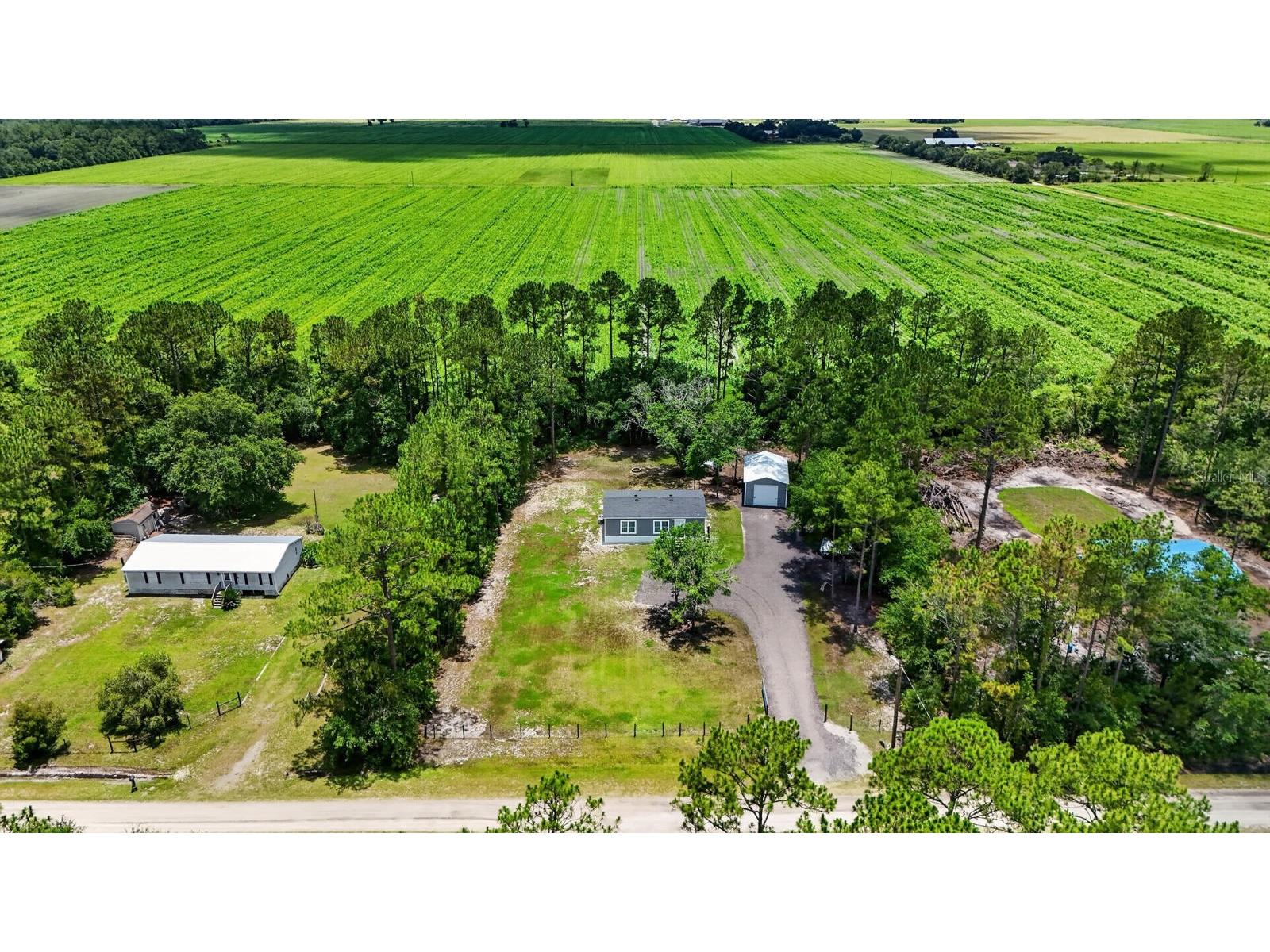  Bunnell FL 32110 FC319157 image2