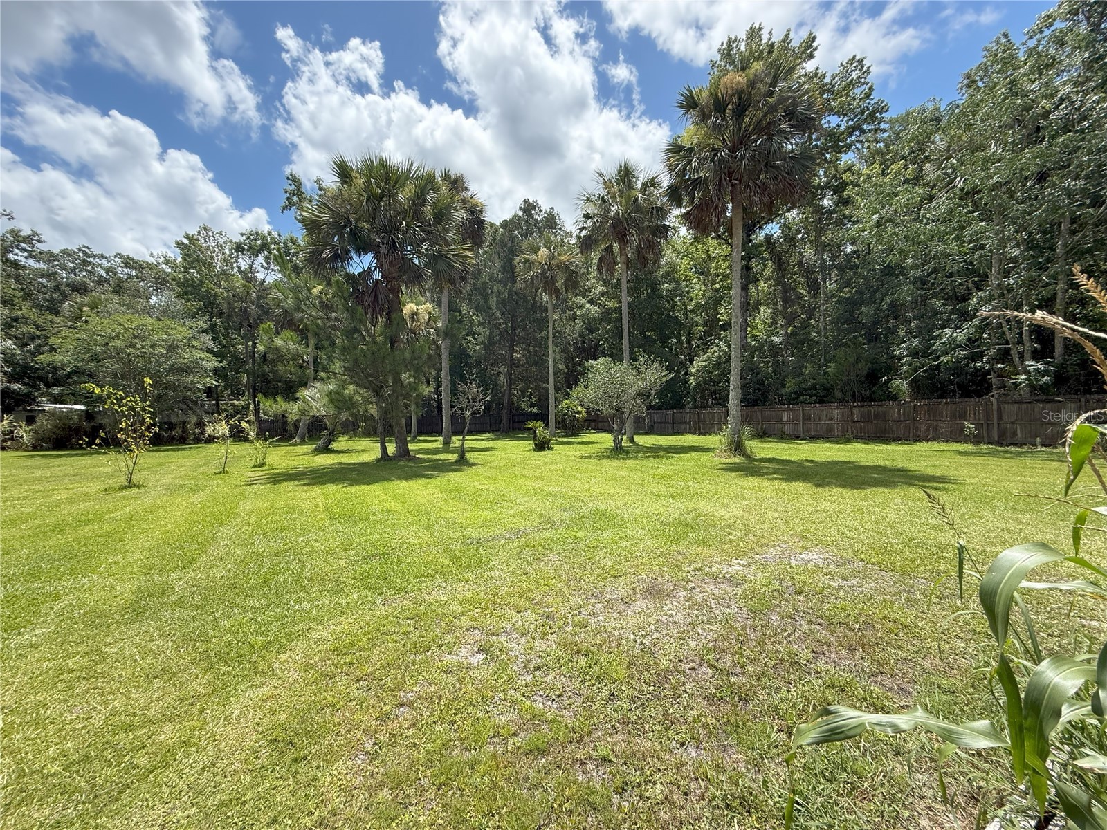  Bunnell FL 32110 FC319728 image54