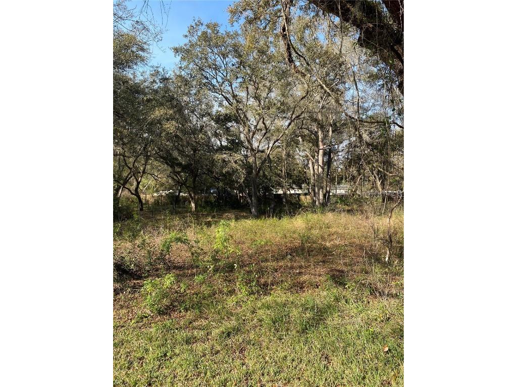  Bushnell FL 33513 T3535056 image2