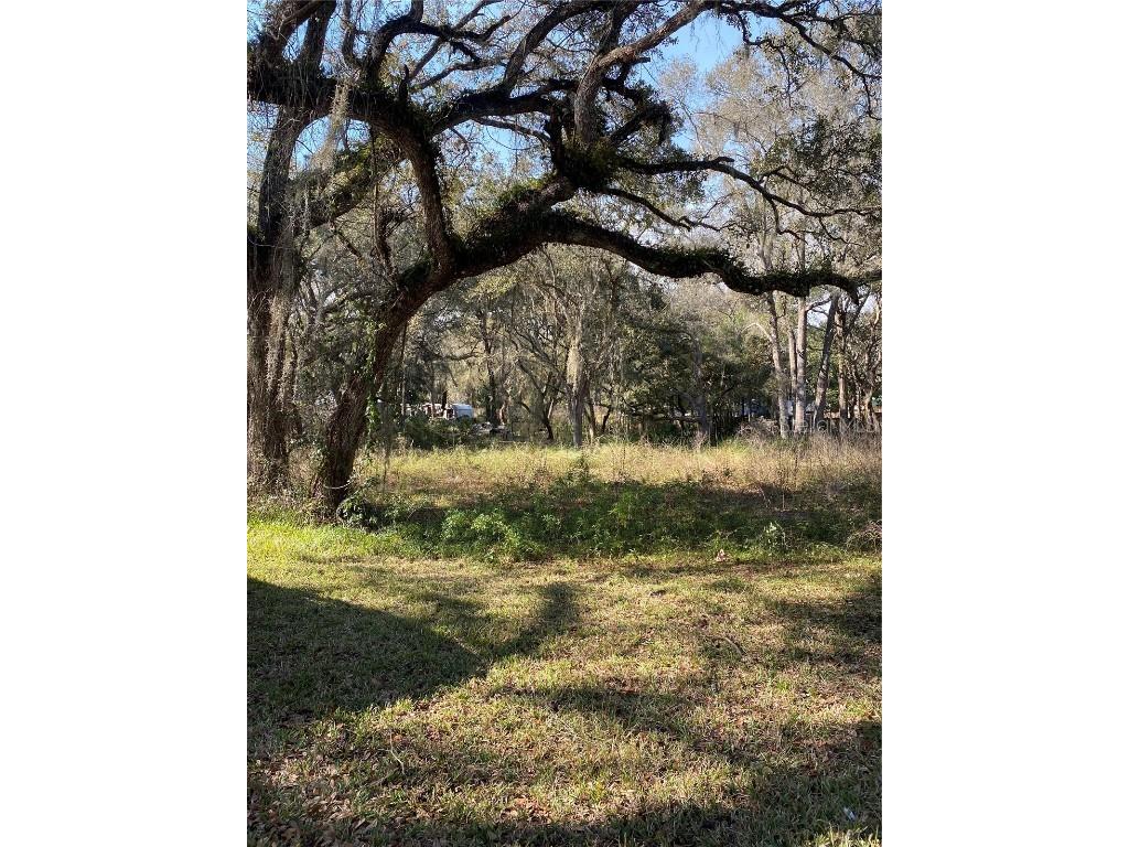  Bushnell FL 33513 T3535056 image4