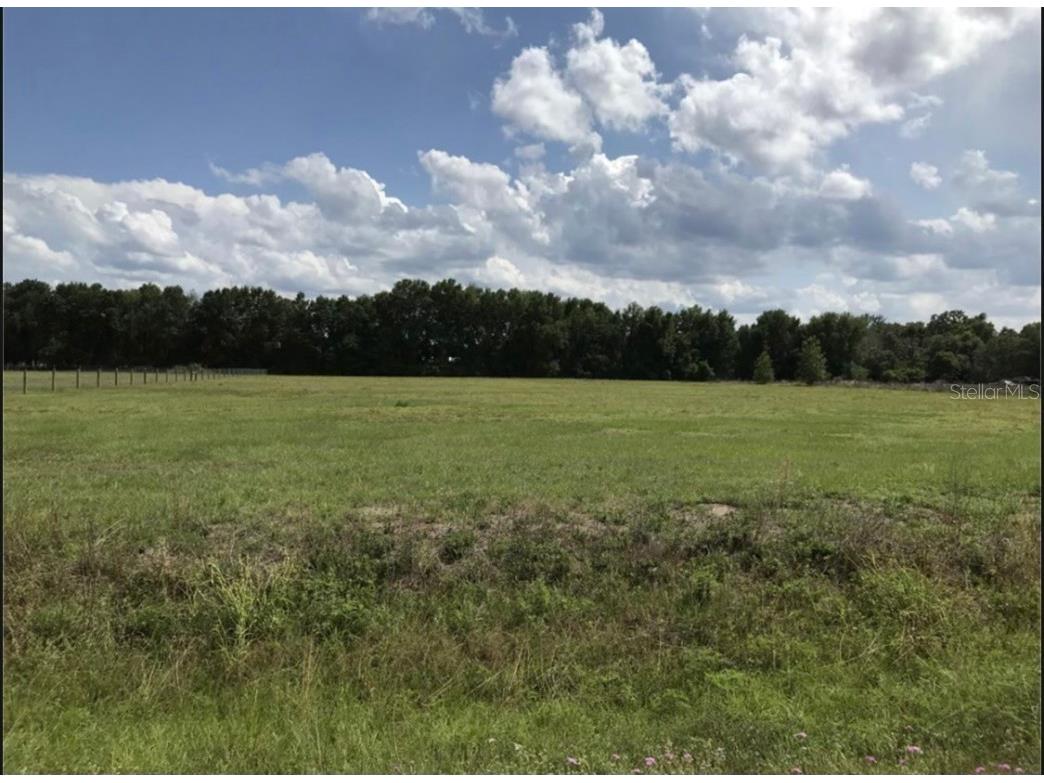 C478a (Gant Lake Rd) Webster FL 33597 G5085558 image1