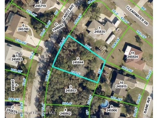 Cabot Avenue Spring Hill FL 34606 W7862931 image1