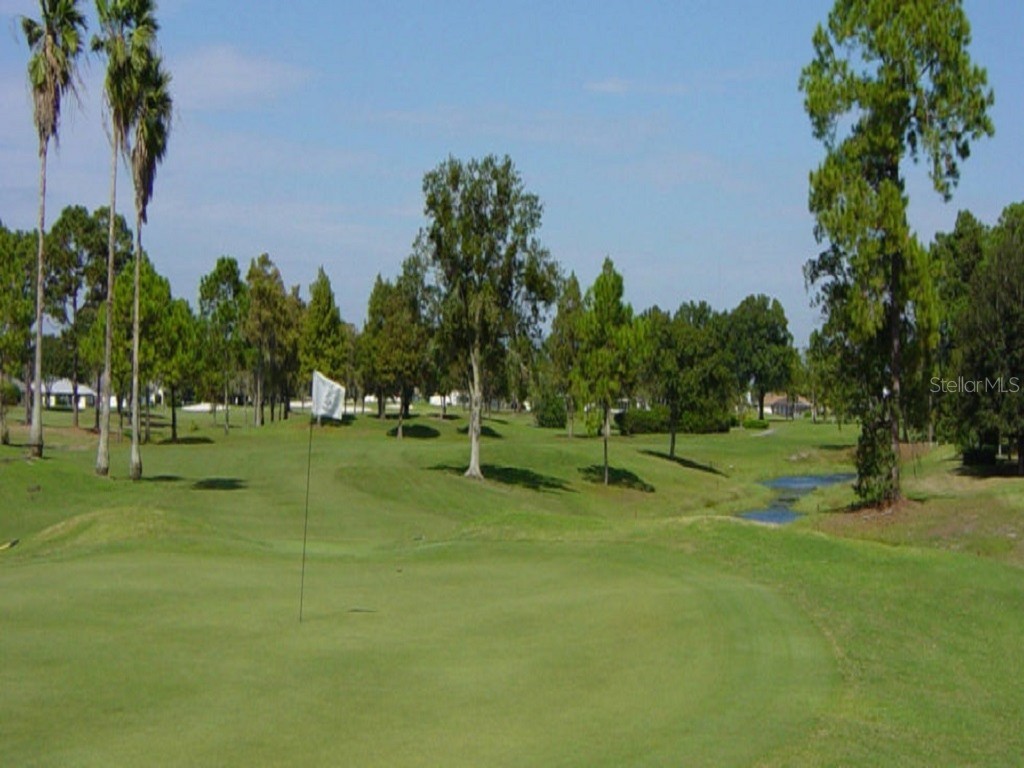 Caesar Avenue Orlando FL 32833 O6095897 image7