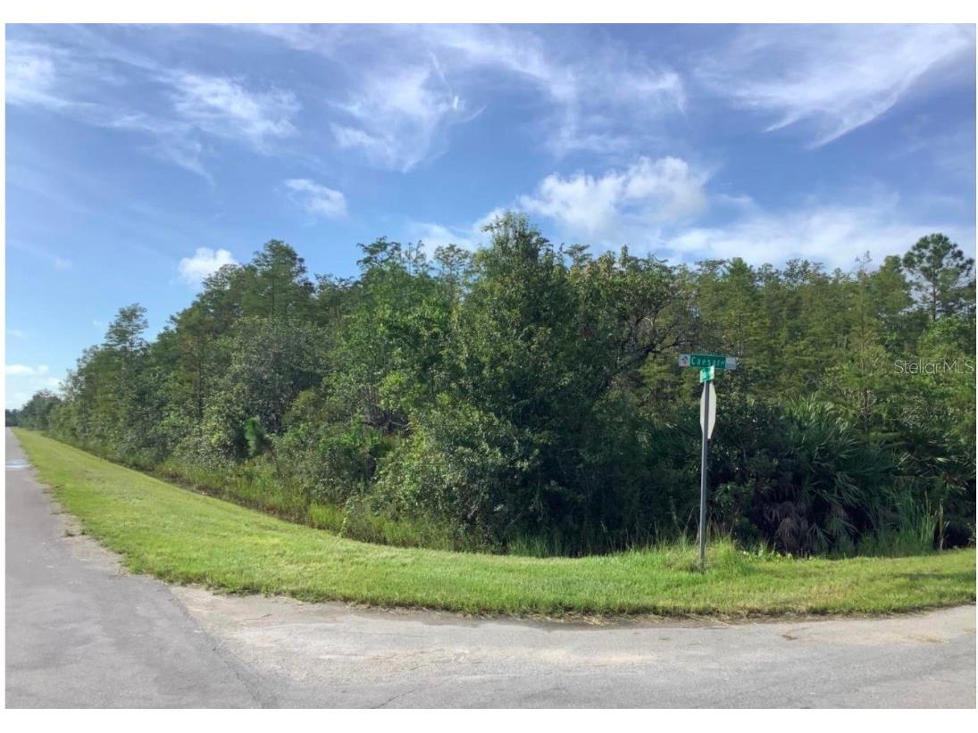 Caesar Avenue Orlando FL 32833 O6314007 image1