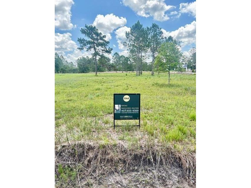 Caesar Avenue Orlando FL 32833 O6419238 image2