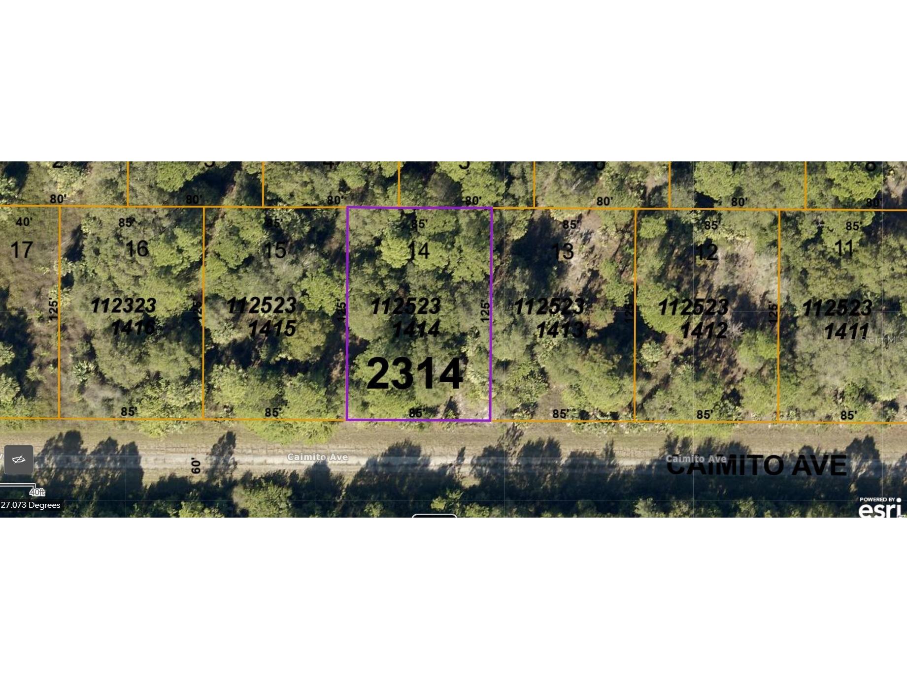 Caimito Avenue North Port FL 34288 C7469922 image1