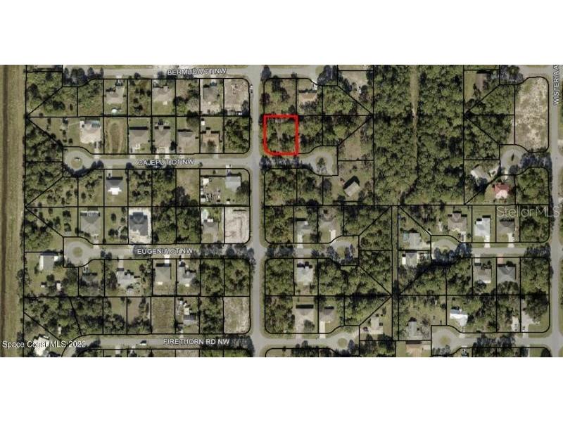 Cajeput Nw Ct. Palm Bay FL 32907 J967046 image1