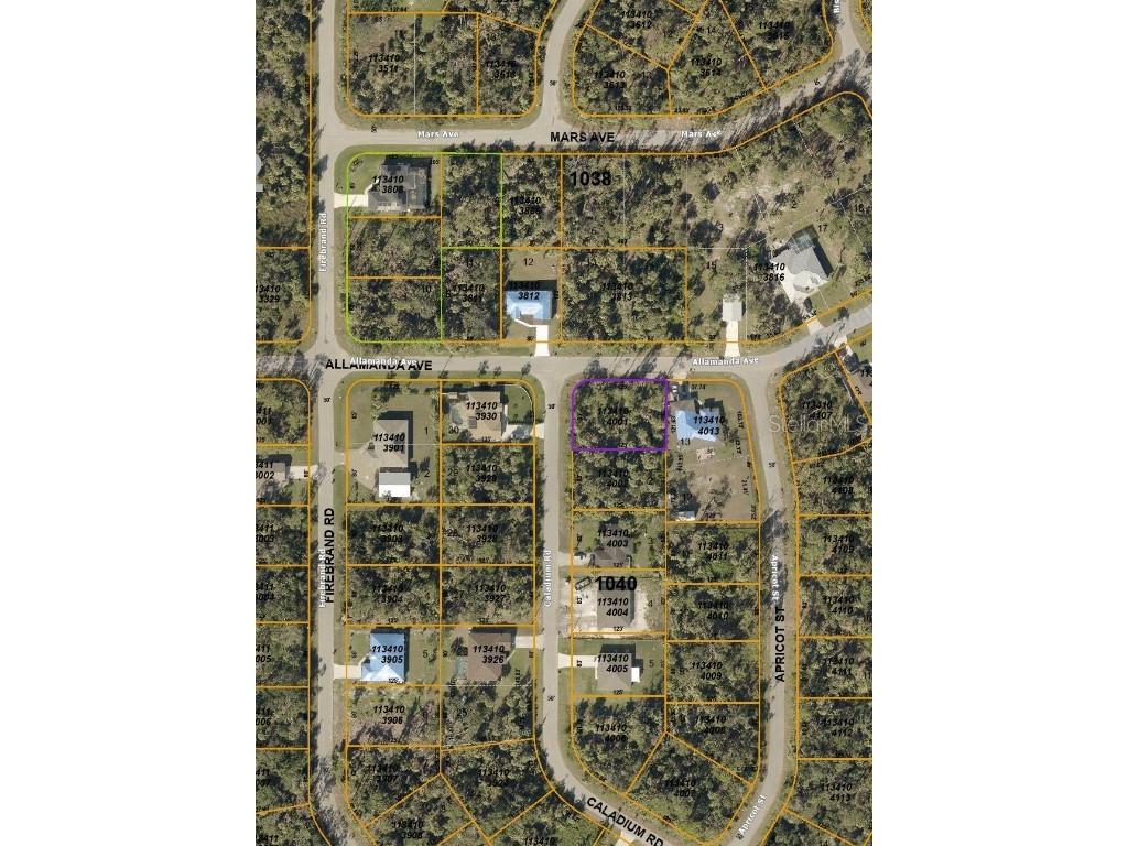 Caladium Lot #1 Road North Port FL 34288 C7481182 image1