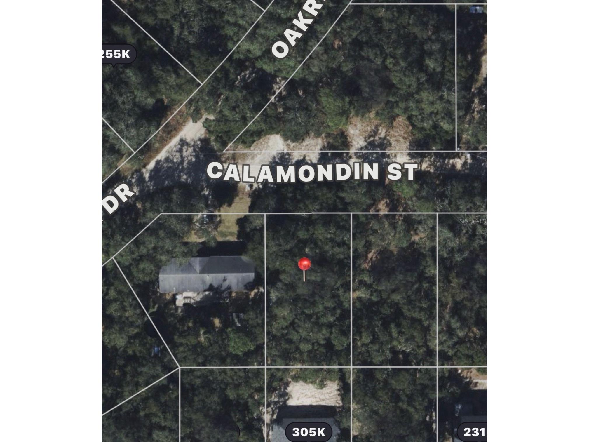 Calamondin St Lady Lake FL 32159 TB8483994 image1