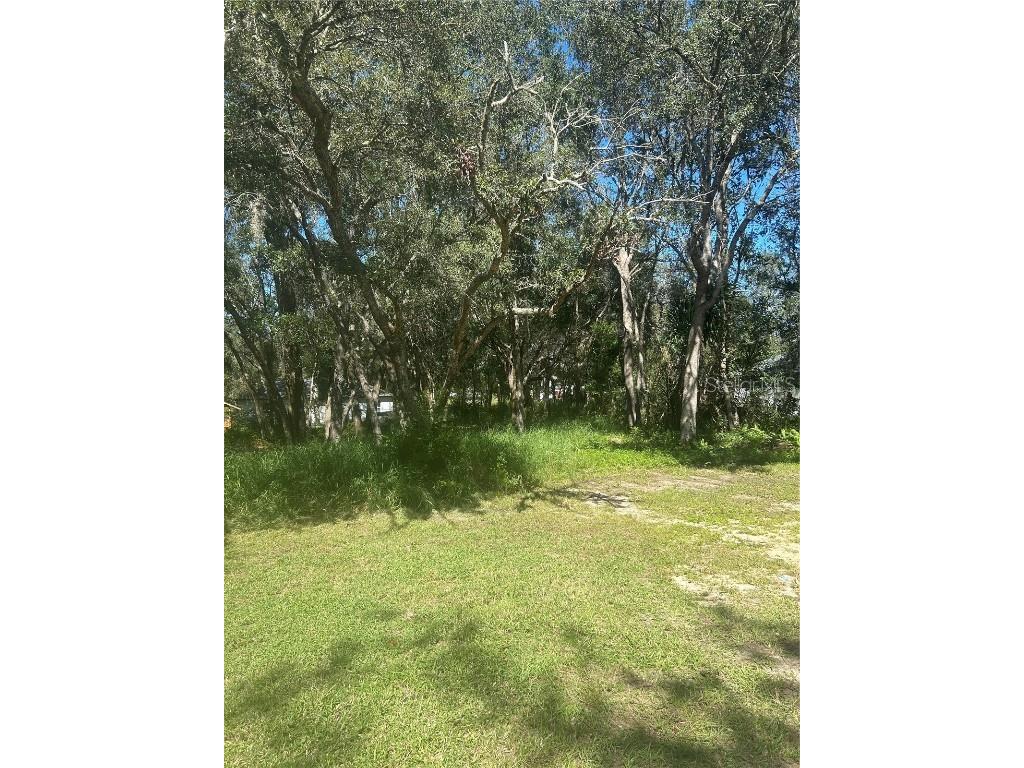 Calamondin Street Lady Lake FL 32159 O6352169 image2