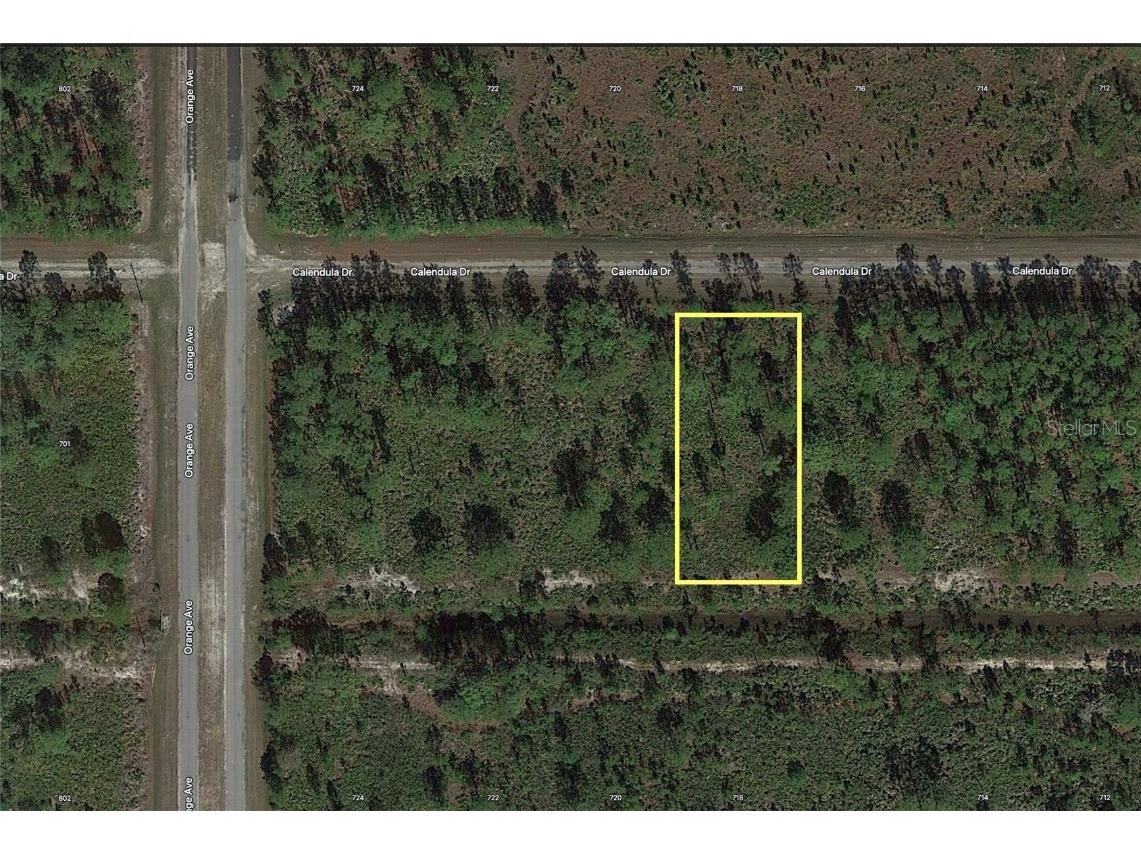 Calendula Drive Indian Lake Estates FL 33855 - LAKE WALK IN WATER T3427313 image1