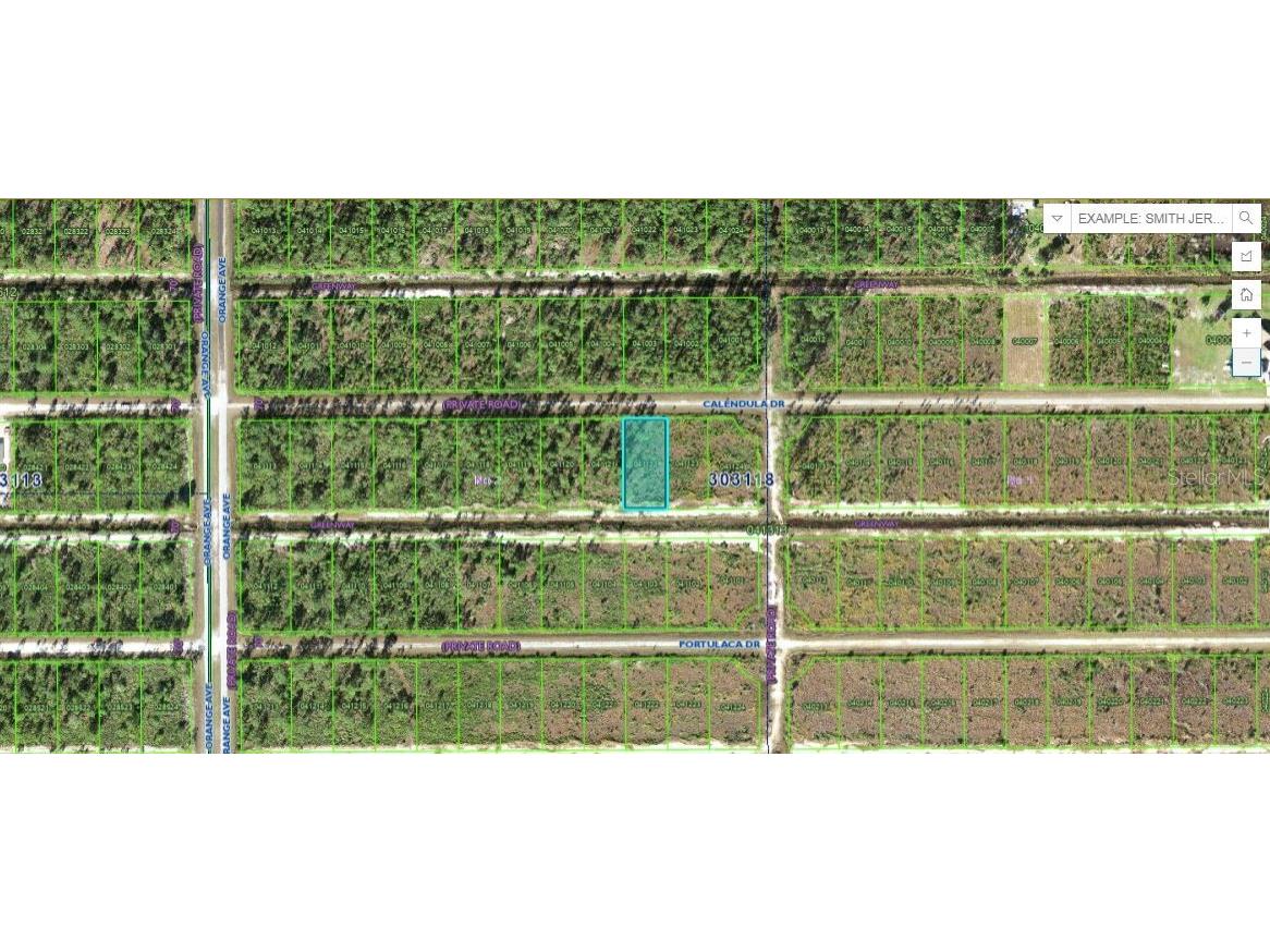 Calendula Drive Indian Lake Estates FL 33855 O6272882 image1