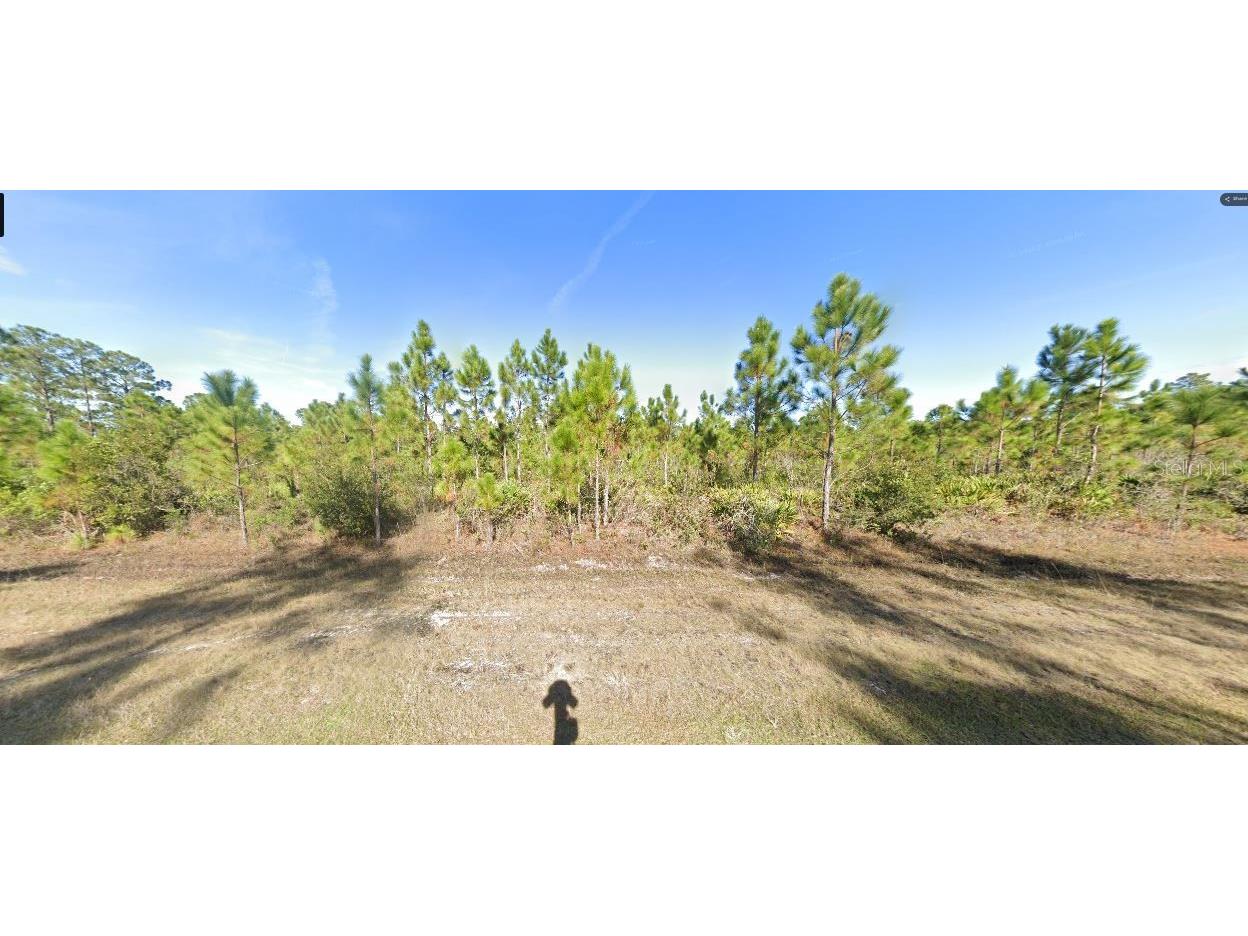 Calendula Drive Indian Lake Estates FL 33855 O6272882 image2