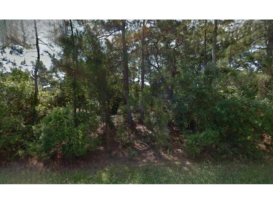 California Terrace North Port FL 34291 O6281078 image1