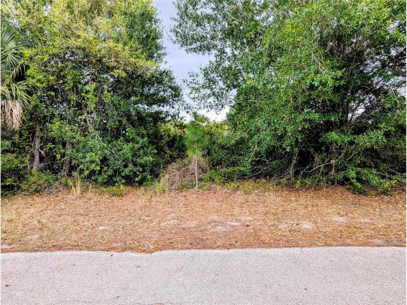 Callaghan Lane North Port FL 34291 A4687974 image2