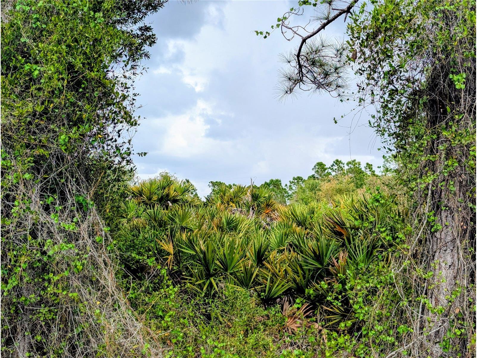 Callaghan Lane North Port FL 34291 A4687974 image5