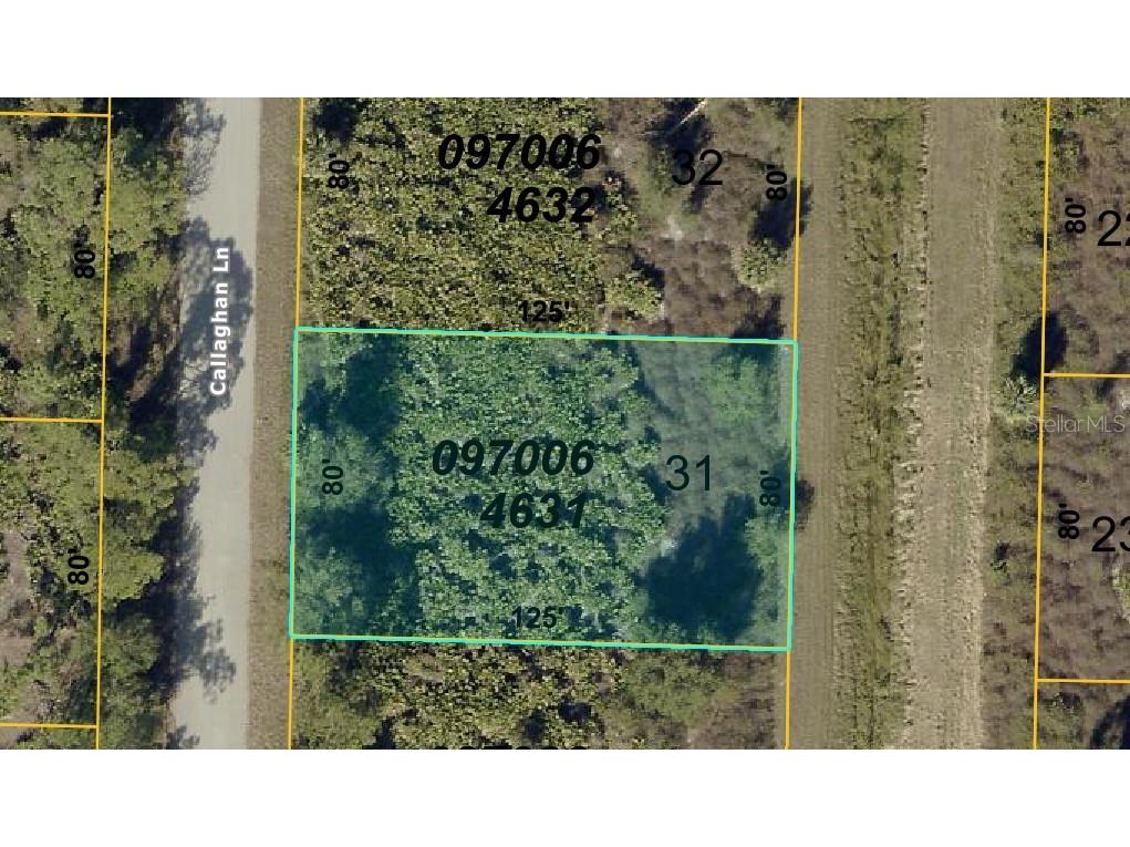 Callaghan Lane North Port FL 34291 A4687974 image6