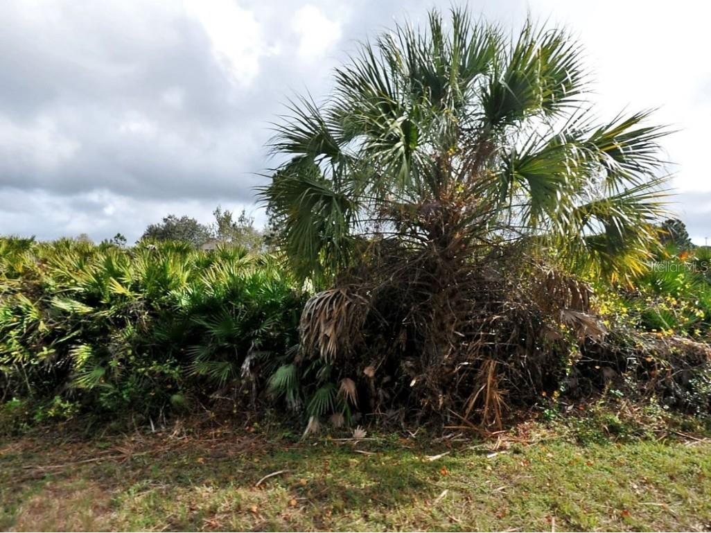Callaghan Lane North Port FL 34291 C7504542 image3