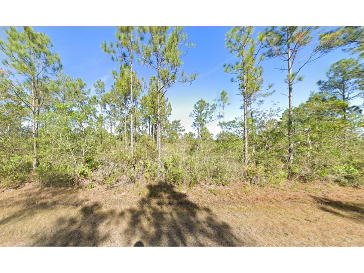 Calliandra Drive Indian Lake Estates FL 33855 OK224221 image1