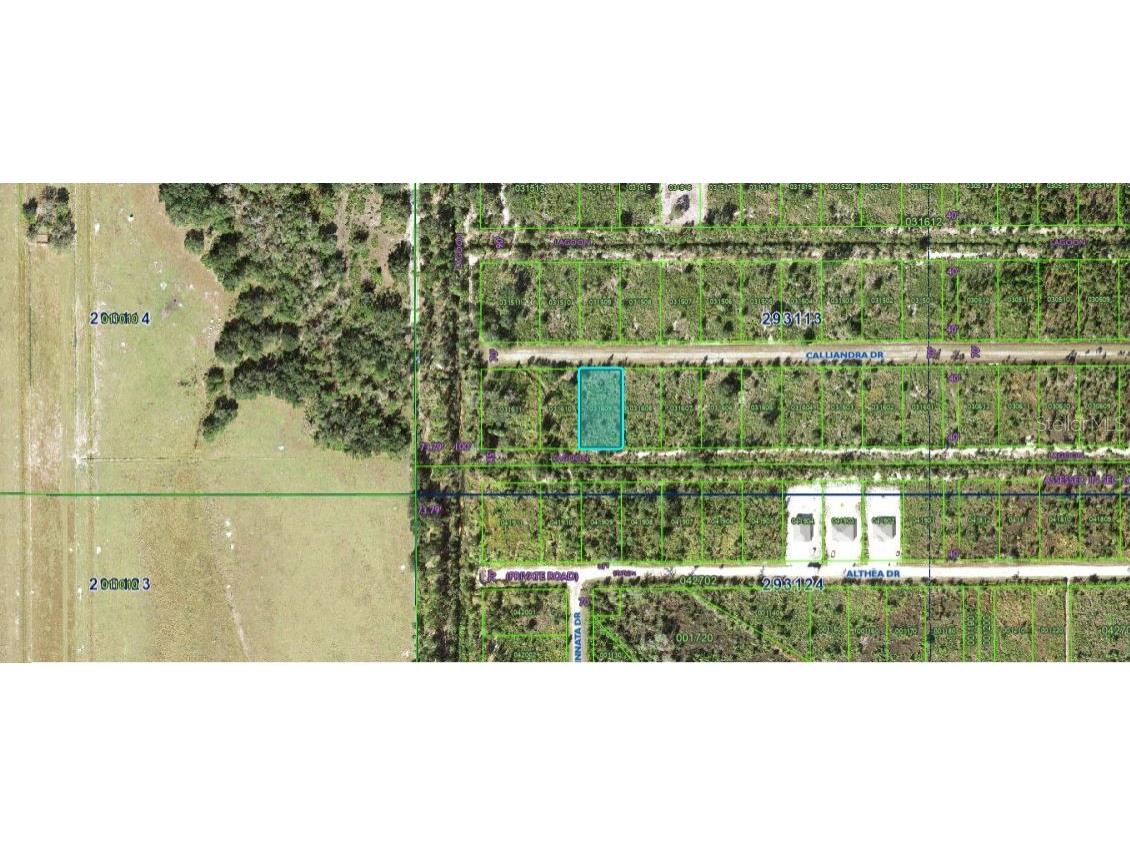Calliandra Drive Indian Lake Estates FL 33855 O6305914 image1