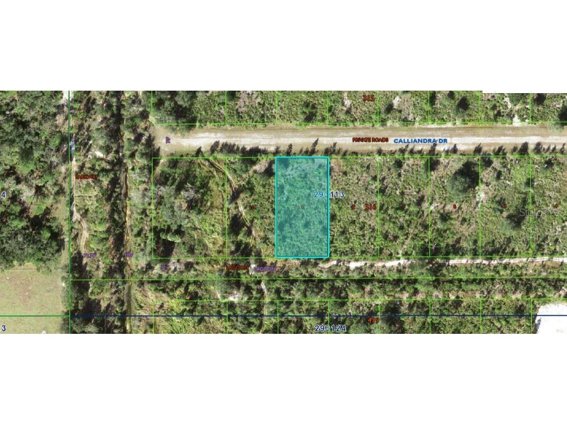 Calliandra Drive Indian Lake Estates FL 33855 O6305914 image2