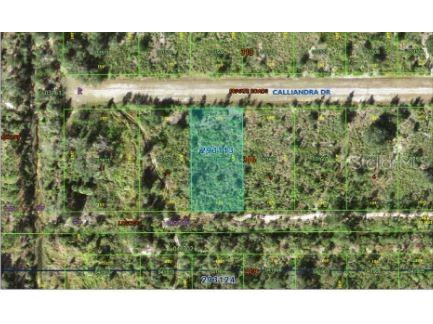 Calliandra Drive Indian Lake Estates FL 33855 O6305914 image3