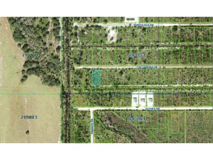 Calliandra Drive Indian Lake Estates FL 33855 O6305914 image4