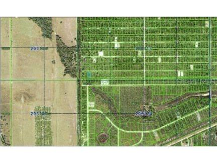 Calliandra Drive Indian Lake Estates FL 33855 O6305914 image5