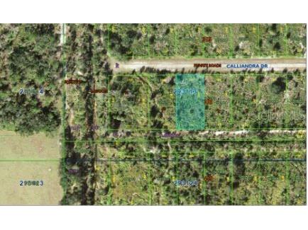 Calliandra Drive Indian Lake Estates FL 33855 O6305914 image6