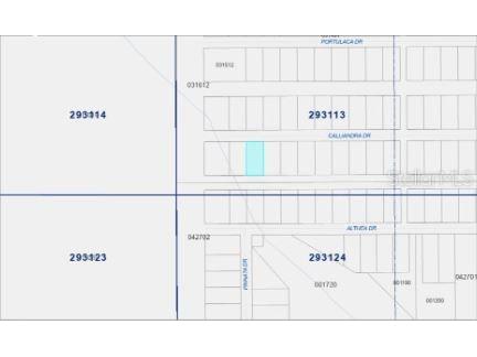Calliandra Drive Indian Lake Estates FL 33855 O6305914 image8