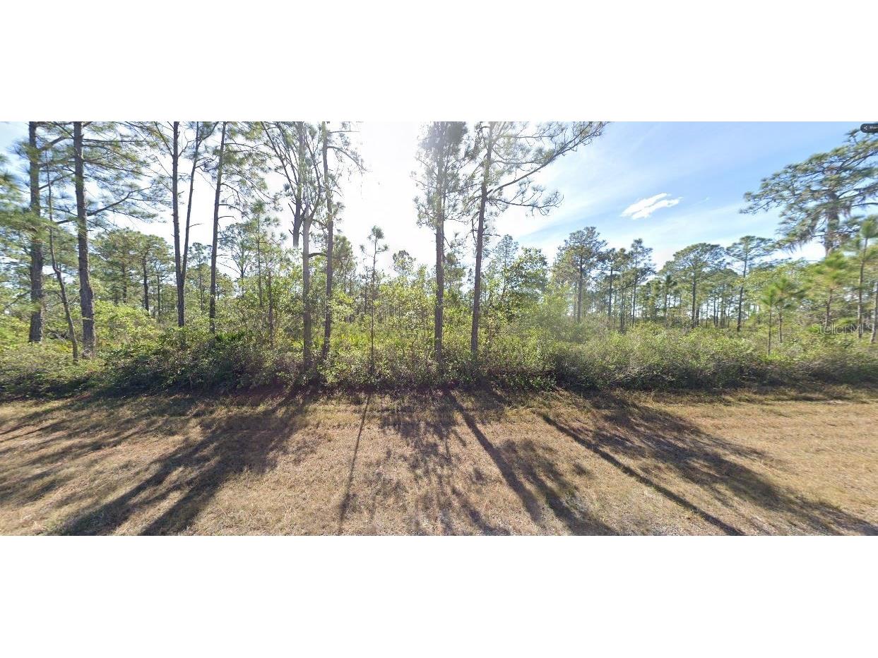 Calliandra Drive Indian Lake Estates FL 33855 O6305914 image9