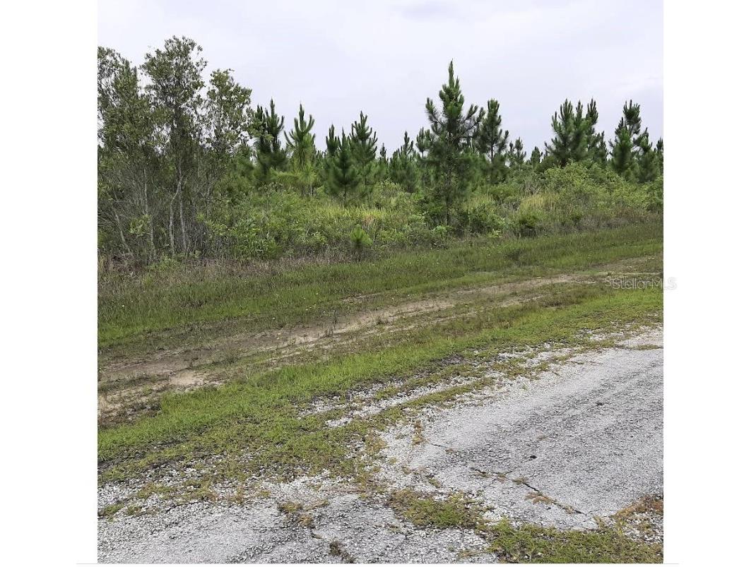 Calliandra Drive Indian Lake Estates FL 33855 - LAKE WALK-IN-WATER P4938439 image1