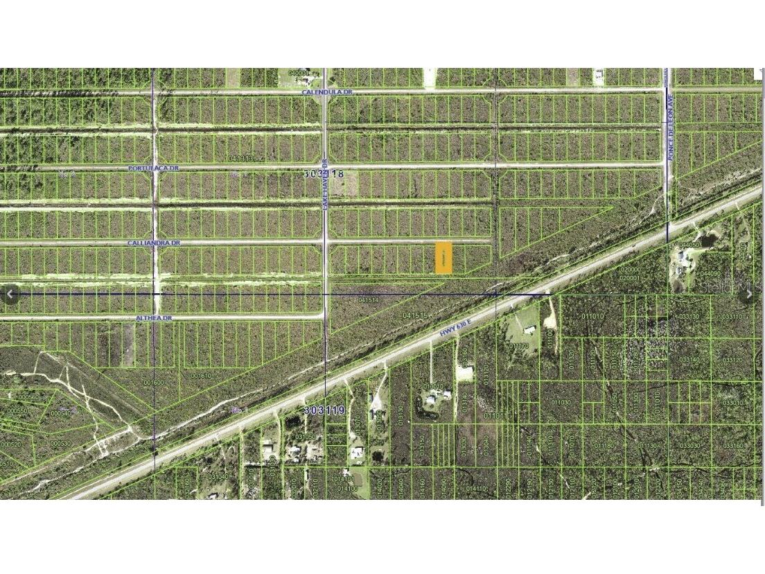 Calliandra Drive Indian Lake Estates FL 33855 - LAKE WALK-IN-WATER P4938439 image3