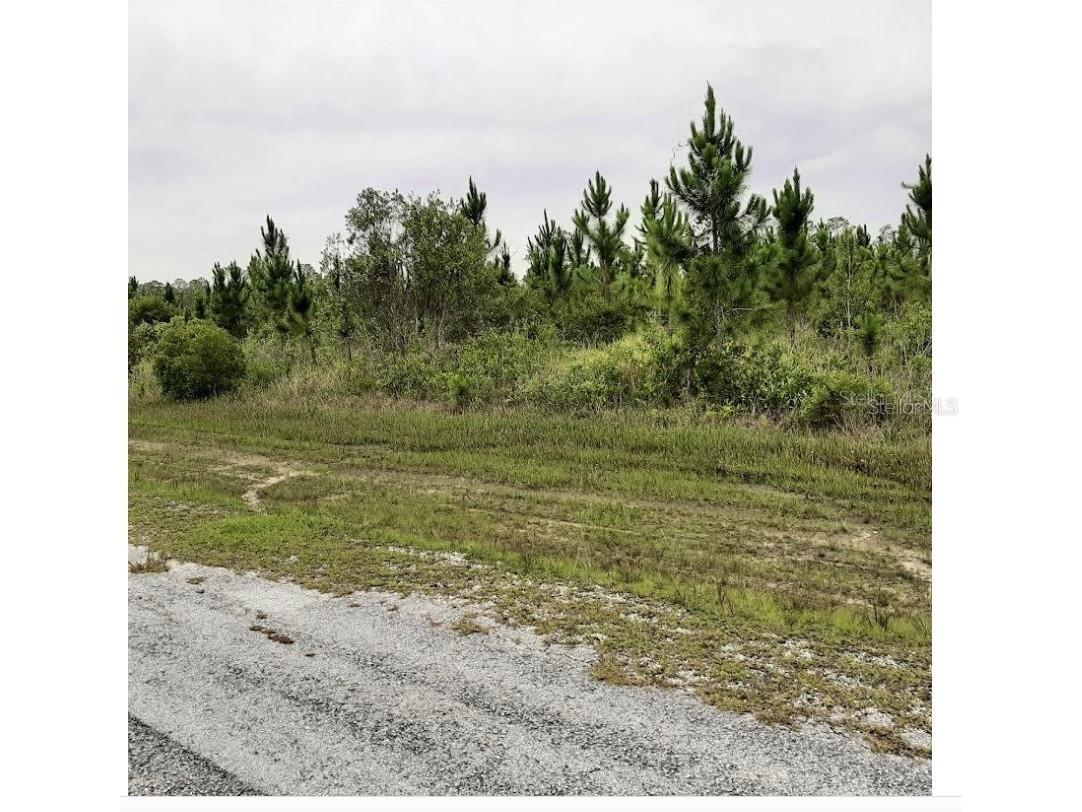 Calliandra Drive Indian Lake Estates FL 33855 - LAKE WALK-IN-WATER P4938439 image6