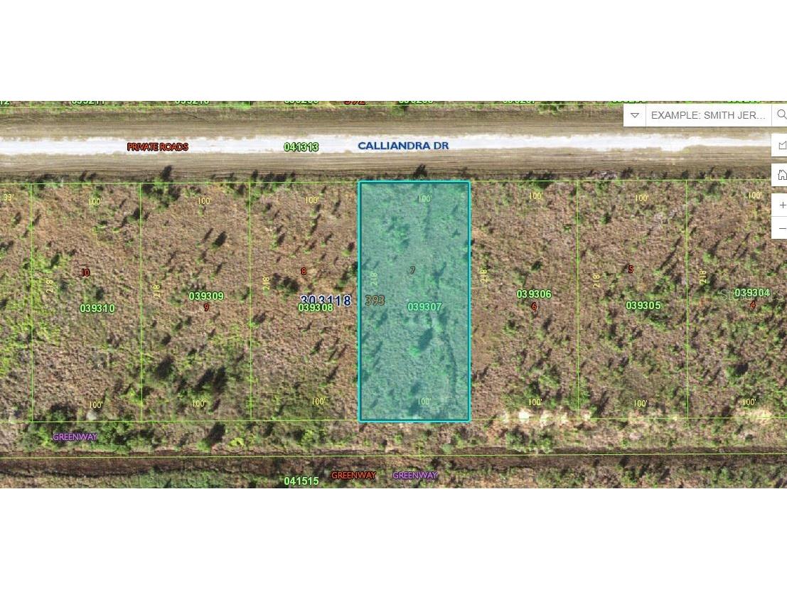 Calliandra Drive Lake Wales FL 33855 O6229435 image1