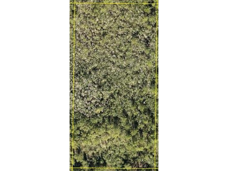 Calvin Lee Clermont FL 34711 G5108005 image1