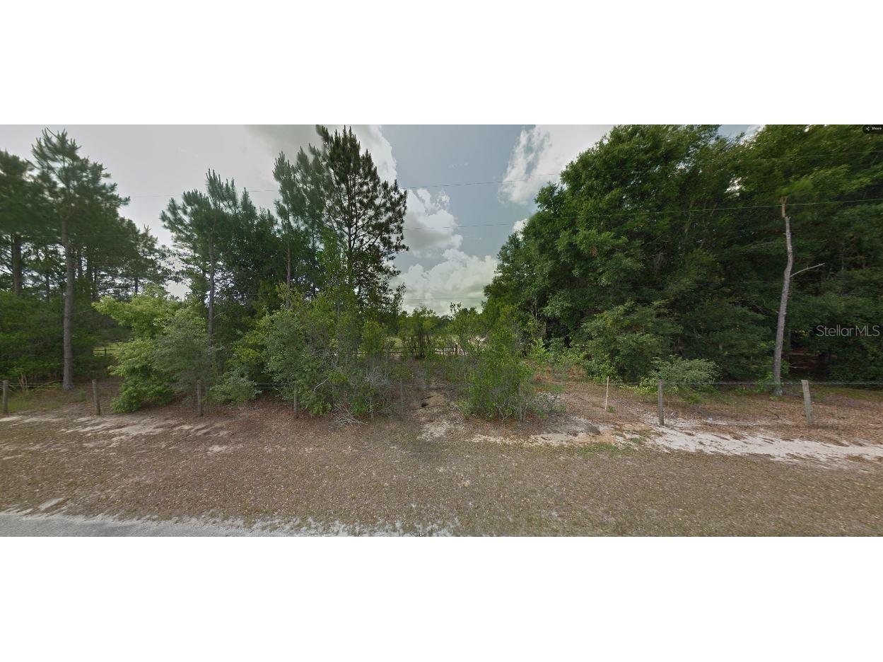 Calvin Lee Road Groveland FL 34736 O6318150 image10