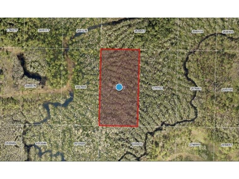 Calvin Lee Road Groveland FL 34736 O6318150 image2