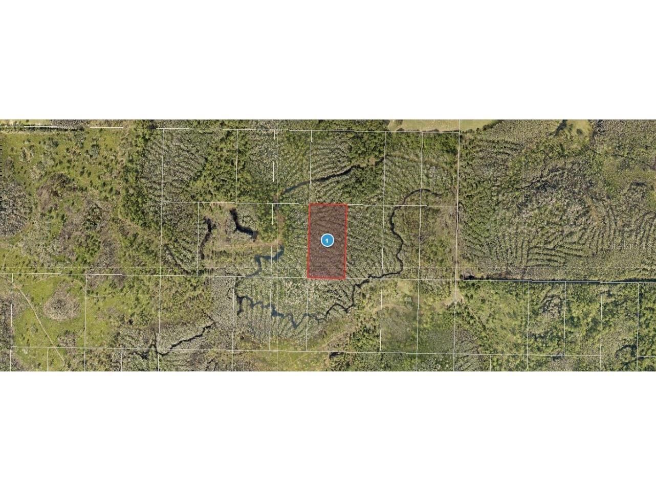 Calvin Lee Road Groveland FL 34736 O6318150 image3