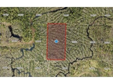 Calvin Lee Road Groveland FL 34736 O6318150 image4