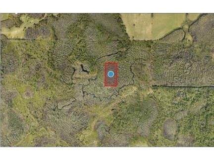 Calvin Lee Road Groveland FL 34736 O6318150 image5