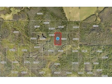 Calvin Lee Road Groveland FL 34736 O6318150 image6