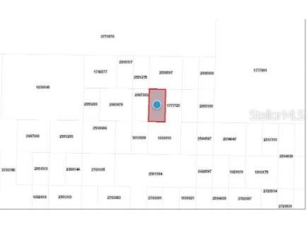Calvin Lee Road Groveland FL 34736 O6318150 image7