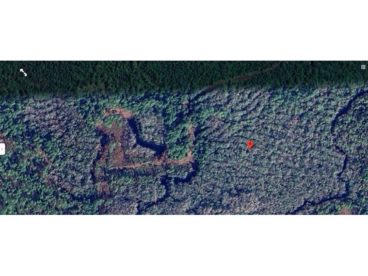Calvin Lee Road Groveland FL 34736 O6318150 image8