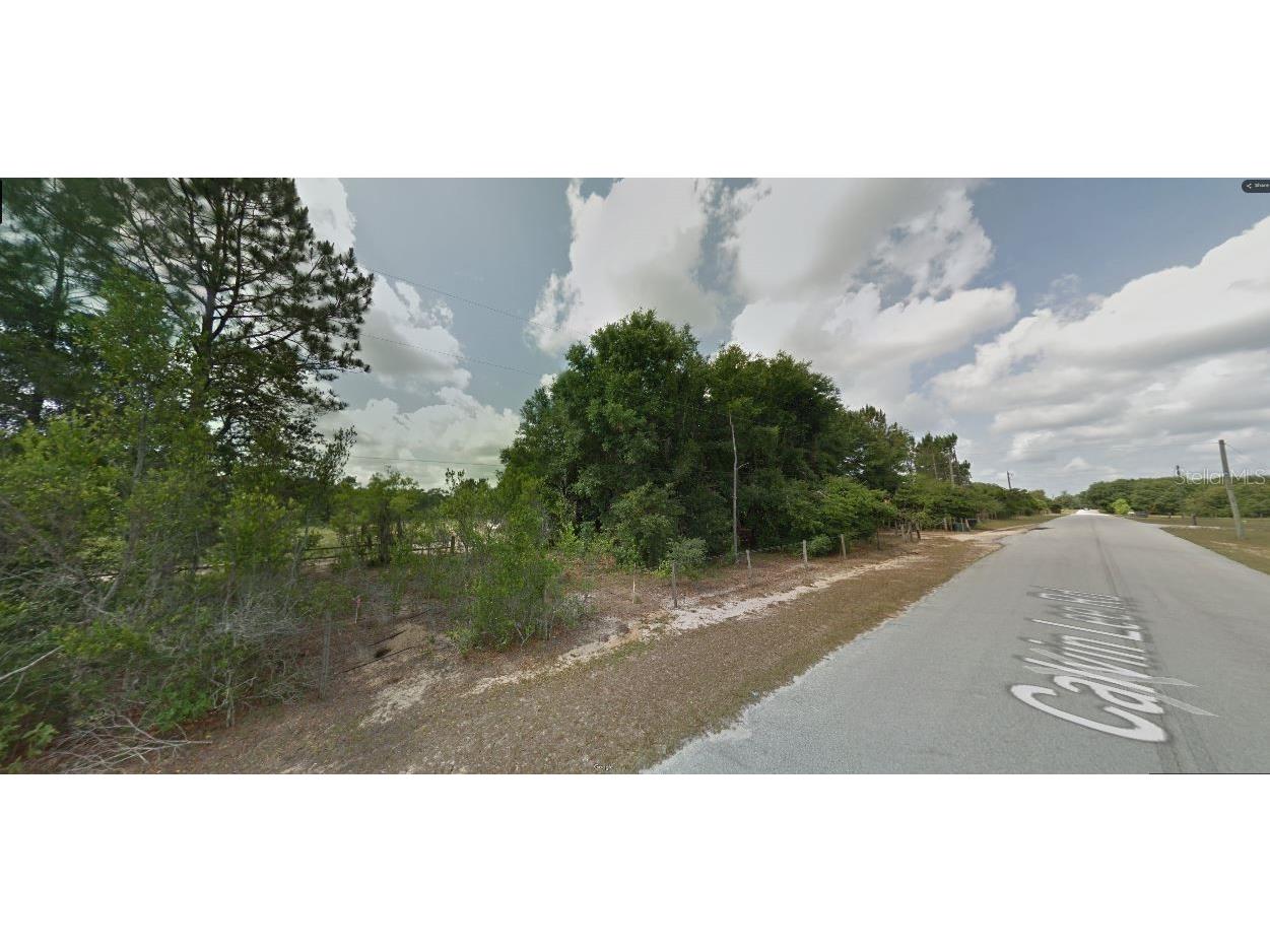 Calvin Lee Road Groveland FL 34736 O6318150 image9