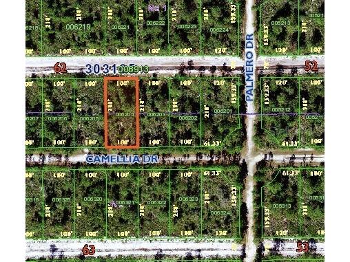 Camellia Drive Indian Lake Estates FL 33855 O6095210 image1